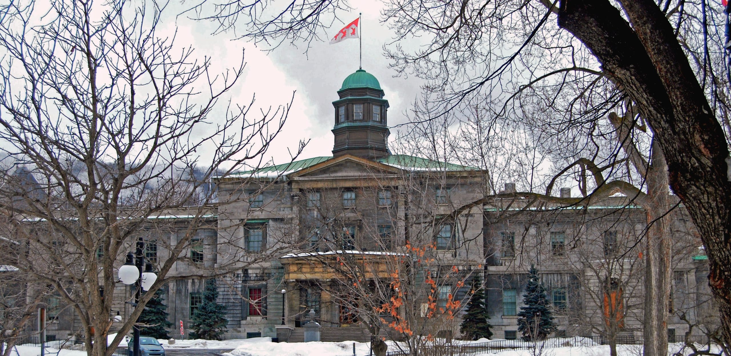 Solicitar plaza en McGill y en Canadá: la convocatoria para Fall 2027 se abrió el 1 de octubre