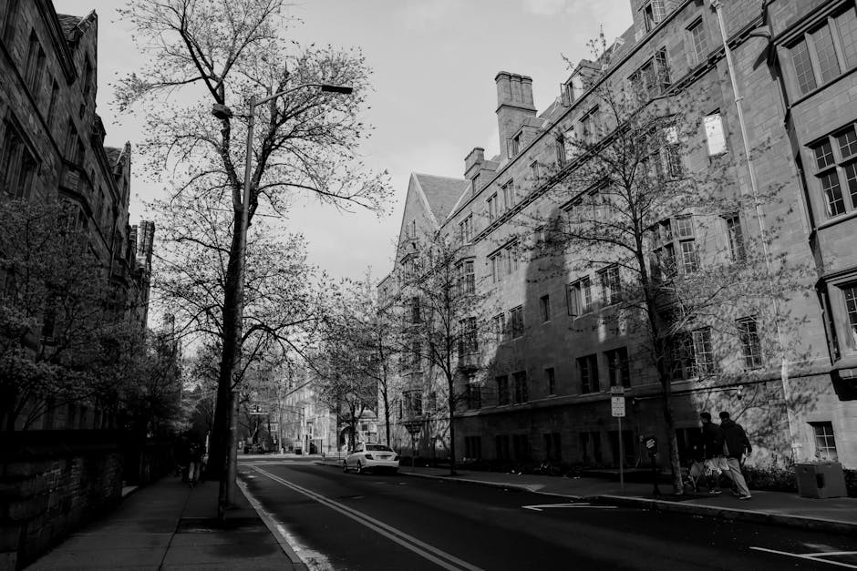 Yale University